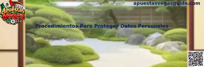 Guía de Apuestas Vegas sobre procedimientos para proteger datos personales y financieros