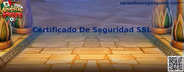 Certificado De Seguridad SSL en plataformas de juego Apuestas Vegas