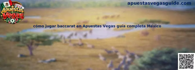 Imagen ilustrativa de la guía para aprender las reglas del baccarat en Apuestas Vegas México