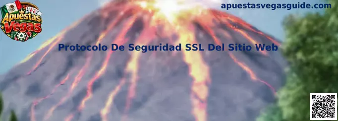 Protocolo De Seguridad SSL Del Sitio Web en Apuestas Vegas